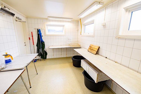 Sauberer Filetierraum in Nordland, Norwegen, mit weißen Kacheln, Arbeitsflächen und Fenstern. Ideal für Meeresangler zur Verarbeitung von Fisch. Perfekte Ausstattung für einen erfolgreichen Angelurlaub.