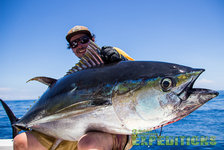 Ein Angler präsentiert stolz einen großen Thunfisch vor der Küste Nord-Norwegens. Der strahlend blaue Himmel und das klare Meer sorgen für ein herrliches Angelabenteuer. Perfekt für Meeresangeln-Enthusiasten.