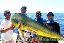 Vier Angler präsentieren einen riesigen Goldmakrele-Fisch auf einem Boot in Nord-Norwegen. Strahlender Sonnenschein und blaues Meer schaffen perfekte Angelbedingungen. Optimale Fangchancen für Abenteurer und Sportangler.