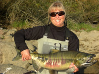 Eine Person hält einen Chum-Lachs stolz am Ufer eines Flusses mit bewaldetem Hintergrund.