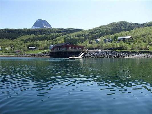 Klares Wasser in Nordland, Norwegen, mit rotem Fischerhaus am Ufer und grünem, bewaldetem Berg im Hintergrund. Perfekt für Angelreisen und Naturabenteuer. Petri Heil!