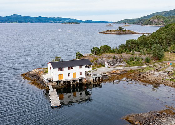 Küstenlandschaft in Hitra, Norwegen: Ein malerisches weißes Haus am Wasser, umgeben von grünen Wäldern und ruhigen Wellen, bietet eine perfekte Kulisse für Angelabenteuer und erholsame Natururlaube. Ideal für unvergessliche Angelreisen.