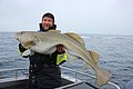Ein Angler hält stolz einen großen Kabeljau auf einem Boot in Nord-Norwegen. Im Hintergrund ist das weite, graue Meer zu sehen. Perfekte Kulisse für einen unvergesslichen Angelurlaub. Petri Heil!
