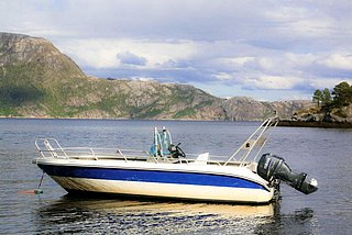 Ein blau-weißes Motorboot liegt auf einem ruhigen See vor einer felsigen, bewaldeten Küstenlandschaft unter bewölktem Himmel.