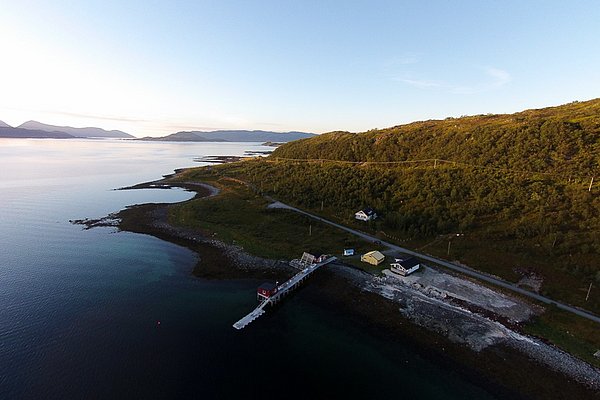 Küstenlandschaft in Nord-Norwegen: Eine malerische Bucht mit Steg und Gebäuden, umgeben von grünen Hügeln und klarem Wasser unter blauem Himmel. Perfekt für Angelurlaub und Naturerlebnisse.