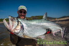 Ein Angler hält einen großen, glänzenden Fisch, gefangen in Südwest-Norwegen. Der klare Himmel und die malerische Landschaft im Hintergrund unterstreichen das Abenteuer und die Freude am Angeln in dieser spektakulären Region.