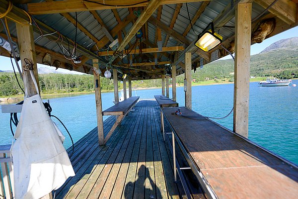 Fischverarbeitungshütte am Meer in Nord-Norwegen. Holzplattform mit Arbeitsflächen, umgeben von türkisfarbenem Wasser und grüner Landschaft. Perfekt für Angelliebhaber.