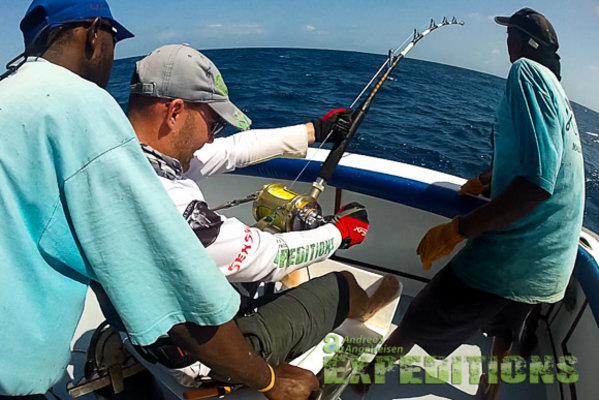 Angelreisen nach Gruppenreise - Black Marlin Hunt! - Malindi & Watamu