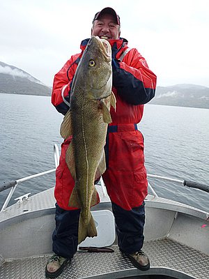 Ein Angler auf einem Boot in Hitra, Norwegen, hält stolz einen großen Kabeljau. Perfektes Ziel für Angelurlaub und Meeresangeln, um Abenteuer und reichhaltige Fänge zu erleben. Ideal für Outdoor-Entdecker.