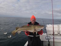 Ein Angler steht auf einem Boot auf dem Meer und hält einen großen Fisch, vermutlich einen Kabeljau, in der Hand.