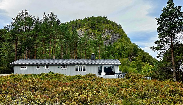 Hütte in Hitra, Norwegen, umgeben von grünen Nadelbäumen und hügeliger Landschaft. Ideal für Angelurlaub und Naturerlebnisse. Malerische Kulisse für Erholung und Abenteuer inmitten üppiger Vegetation und friedlicher Umgebung.