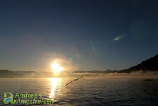 Der Sonnenaufgang über einem stillen See, leicht nebelverhangen, mit einer Silhouette eines Astes im Vordergrund.