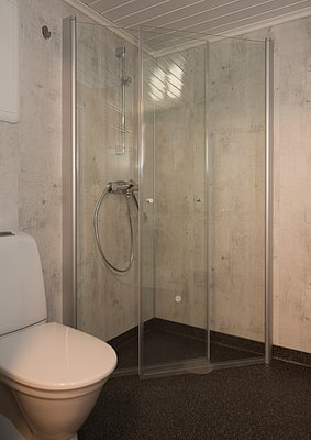 Das Bild zeigt ein modernes Badezimmer mit einer Eckdusche aus Glas und einer weißen Toilette vor einer Wand mit Betonoptik.