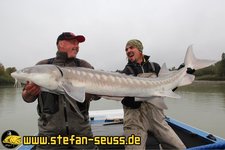 Zwei Männer stehen auf einem Boot und halten gemeinsam einen großen Stör, während sie freudig in die Kamera lachen.