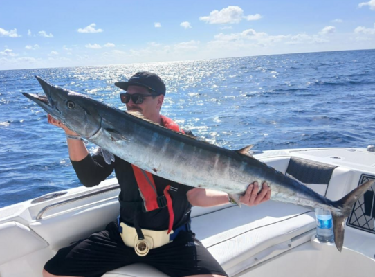 Ein Angler hält stolz einen großen Wahoo über der glitzernden Meeresoberfläche bei Sao Vicente, Kapverden. Perfekte Bedingungen für einen erfolgreichen Angelurlaub im Atlantik. Optimal für Meeresangeln-Enthusiasten.