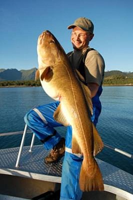 Ein Angler hält stolz einen großen Fisch (Kabeljau) auf einem Boot in Nordland, Norwegen. Im Hintergrund sind majestätische Berge und ruhiges Wasser zu sehen. Perfekter Ort für einen Angelurlaub.