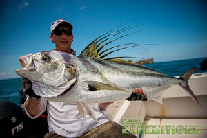 Ein Angler hält einen prächtigen Hahnenfisch auf einem Boot vor der malerischen Küste von Panama. Perfektes Angelabenteuer mit Andrees Angelreisen, ideal für Meeresangeln und unvergessliche Fänge.