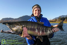 Eine Person in blauer Jacke hält einen großen Lachs vor einer malerischen Flusslandschaft mit bewaldeten Bergen im Hintergrund.