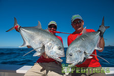 Zwei Angler in Süd-Norwegen halten große Fische vor strahlendem blauen Meer. Perfekter Angelurlaub für Abenteurer, die auf der Suche nach unvergesslichen Fangmomenten und atemberaubender Natur sind. Petri Heil und viel Erfolg!