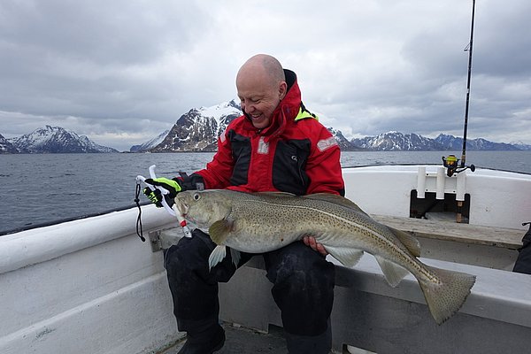 Ein Angler hält einen großen Kabeljau auf einem Boot vor der malerischen, schneebedeckten Küstenlandschaft Nordlands, Norwegen. Perfekter Angelurlaub für Meeresangler in beeindruckender Naturkulisse.