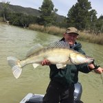 Ein Mann auf einem Boot hält einen großen Zander vor einer bewaldeten Uferkulisse.
