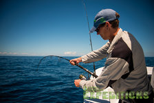 Angler auf einem Boot in Süd-Norwegen fischt im türkisblauen Meer unter klarem Himmel. Perfekte Bedingungen für Angelurlaub und Meeresangeln. Abenteuer und Entspannung in einer malerischen Kulisse. Ideal für Sportangler.