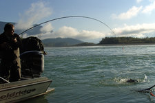 Ein Angler steht auf einem Boot und hat einen großen Fisch an der Angel, während die Szenerie einen sonnigen Fluss mit bewaldeten Ufern zeigt.
