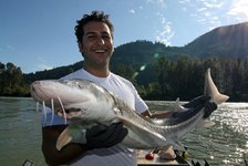 Ein Angler hält stolz einen großen Stör an einem Fluss mit bewaldeten Bergen im Hintergrund.