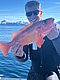 Ein Angler hält stolz einen leuchtend roten Rotbarsch vor einer beeindruckenden Fjordkulisse in Nordland, Norwegen. Klare Gewässer und schneebedeckte Berge im Hintergrund, perfekte Bedingungen für Angelurlaub und unvergessliche Erlebnisse.