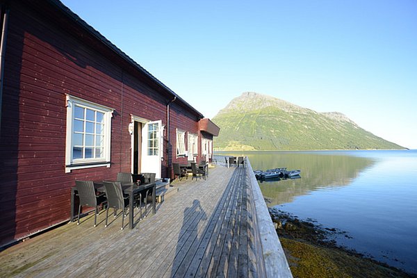 Rotes Holzhaus in Nordland, Norwegen, am klaren Fjord. Weite Terrasse, umgeben von ruhiger Natur und Bergen. Perfekt für Angelurlaub und Outdoor-Abenteuer in traumhafter skandinavischer Kulisse.