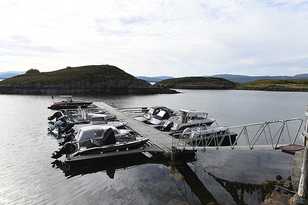 Kleiner Hafen in Hitra, Norwegen: Reihen von Booten am Steg, umgeben von ruhigem Wasser und grünen Inseln. Ideal für Angelreisen in skandinavischer Naturidylle. Perfekter Ausgangspunkt für Meeresangeln und Fjordabenteuer.