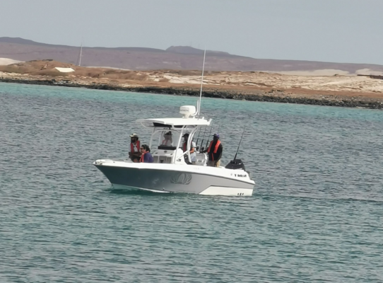 Ein weißes Angelboot auf türkisblauem Wasser vor der Küste von Sao Vicente, Kapverden. Perfekte Bedingungen für Meeresangeln und Erkundungen in dieser idyllischen Umgebung. Abenteuer und Entspannung mitten im Atlantik.