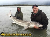 Zwei Männer halten einen großen Stör im Wasser, im Hintergrund eine bewaldete Uferlandschaft.