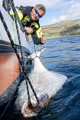 Ein begeisterter Angler mit Daumen hoch zeigt stolz einen großen Heilbutt, der neben einem Boot im klaren Wasser von Nord-Norwegen hängt. Perfekter Angelurlaub in beeindruckender Natur.