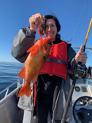 Ein Angler auf einem Boot hält stolz einen leuchtend roten Fisch vor strahlend blauem Himmel, typisch für die ertragreichen Angelmöglichkeiten in der Region Hitra, Norwegen. Ideal für Abenteuer und großartige Fänge.