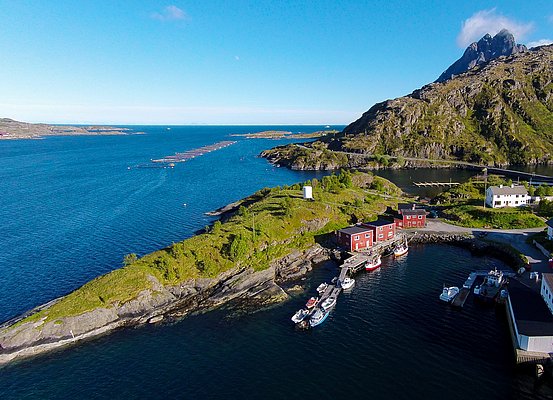 Küstenlandschaft in Nordland, Norwegen: Malerische Fjorde, ruhig gelegene Boote und traditionelle rote Holzhäuser unter klarem, blauem Himmel. Perfektes Ziel für Angelurlaub und Meeresangeln, umgeben von majestätischen Bergen und unberührter Natur.