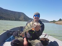 Ein Angler in einem Boot auf einem See hält einen großen Barsch in die Kamera, umgeben von bewaldeten Hügeln unter einem klaren blauen Himmel.