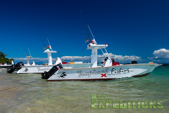 Drei weiße Anglerboote mit der Aufschrift "Tropical Fishing" liegen am klaren, seichten Wasser eines tropischen Strandes vor Anker. Drei weiße Anglerboote mit der Aufschrift "Tropical Fishing" liegen am klaren, seichten Wasser eines tropischen Strandes vor Anker.