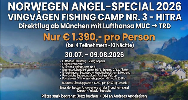 Norwegen Angel-Special 2026 - Vingvagen Fishing Camp Nr. 3 - Hitra - jetzt buchen